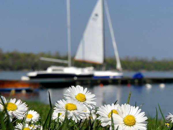 Frühjahrsregatta 2010 – Ausschreibung