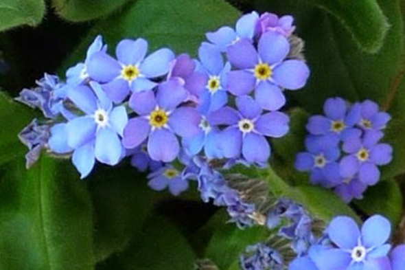 Mitgliederversammlung 2015