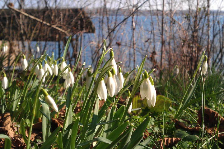 Jugendversammlung 2016 • Einladung