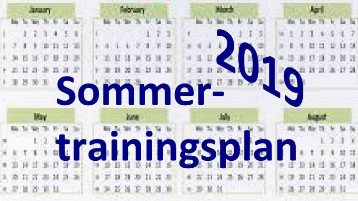 Trainingspläne Sommer 2019