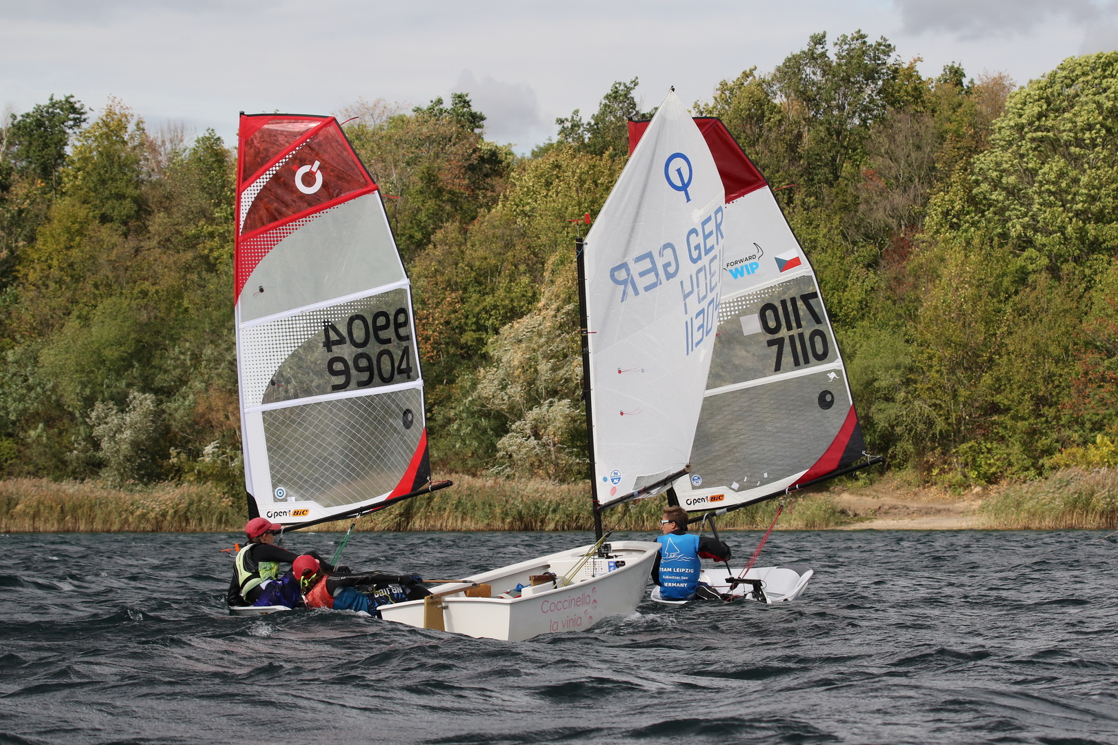 Herbstregatta • 2019